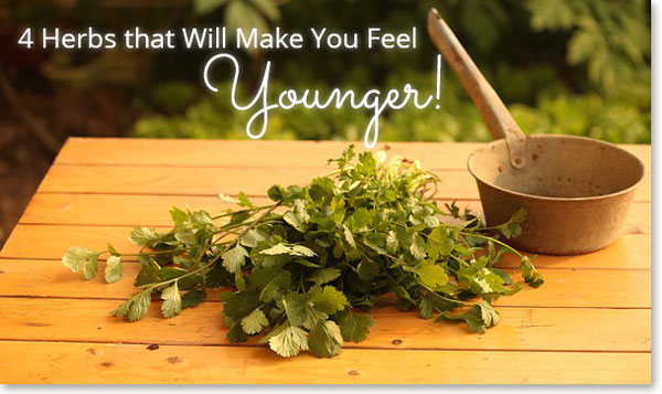 Learn about 4 herbs that will make you feel younger