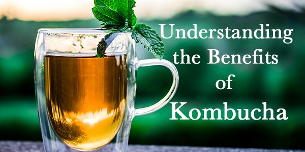 Understanding the Benefits of Kombucha